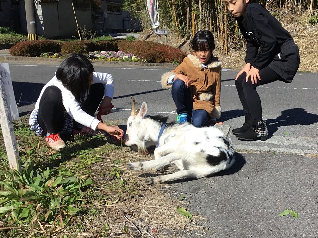 やぎお