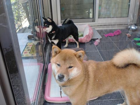 2.4 blog10 2.4-blog10