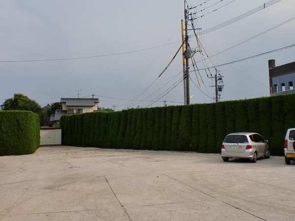 8.4sentei1