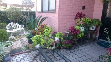 中野様花 91ae9c30abd4ed29977d26a620723ca6