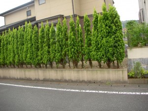before before