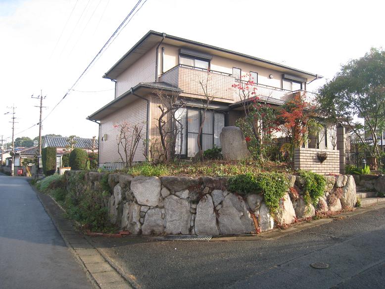 伐採、剪定後 伐採、剪定後