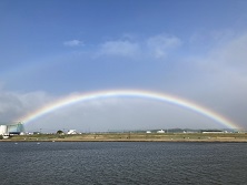 きっといいやつ