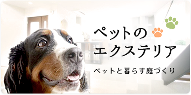 ペットのエクステリア ペットのエクステリア