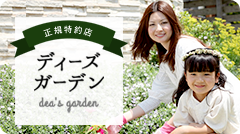 dsgarden