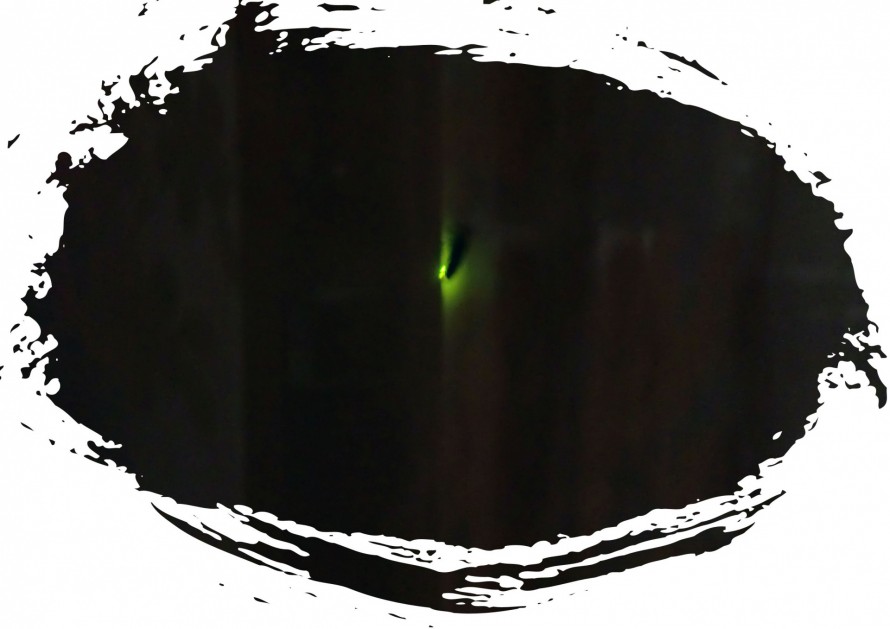 f0229531_1085047 f0229531_1085047