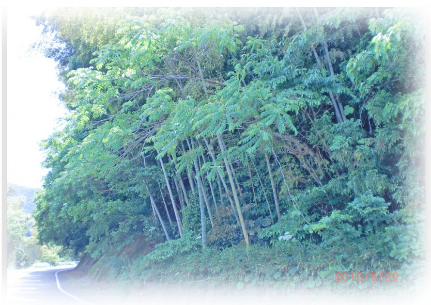 f0229531_12192151 f0229531_12192151