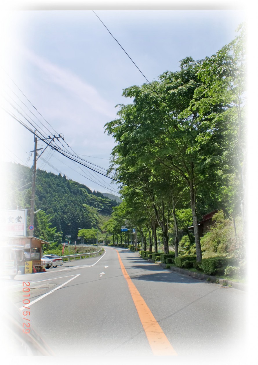 f0229531_12275424 f0229531_12275424