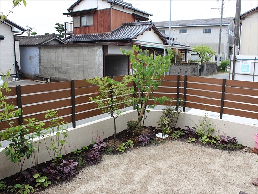 中庭の植木