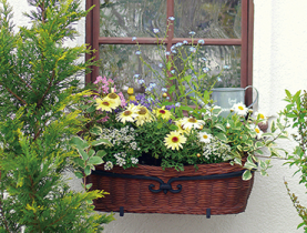 planter_ph01