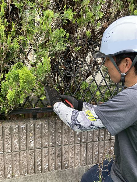 剪定　丁寧な作業で